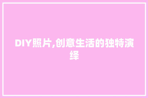 DIY照片,创意生活的独特演绎
