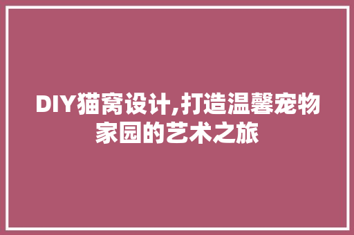 DIY猫窝设计,打造温馨宠物家园的艺术之旅 网站建设公司