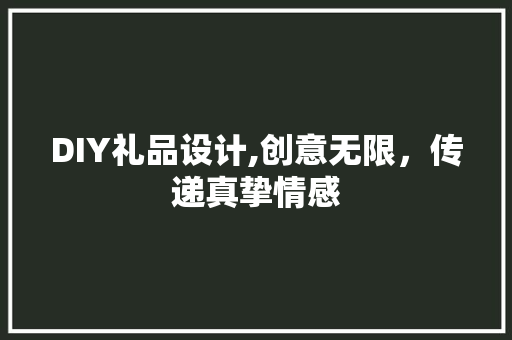 DIY礼品设计,创意无限，传递真挚情感 SEO关键词