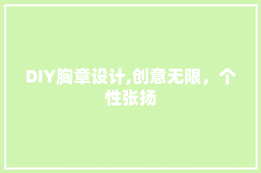 DIY胸章设计,创意无限，个性张扬 神马SEO