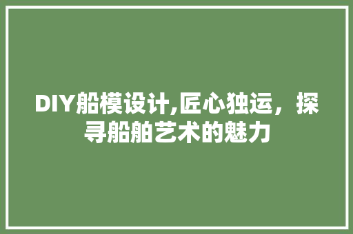 DIY船模设计,匠心独运，探寻船舶艺术的魅力 百度SEO