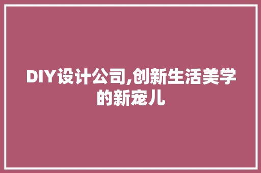 DIY设计公司,创新生活美学的新宠儿 网站建设公司