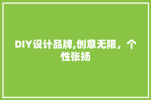 DIY设计品牌,创意无限，个性张扬 必应SEO