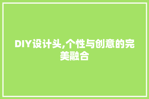 DIY设计头,个性与创意的完美融合 搜狗SEO