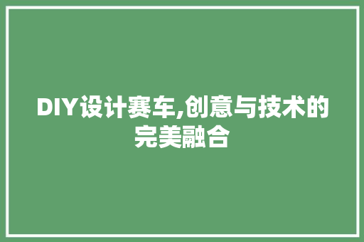 DIY设计赛车,创意与技术的完美融合 百度SEO