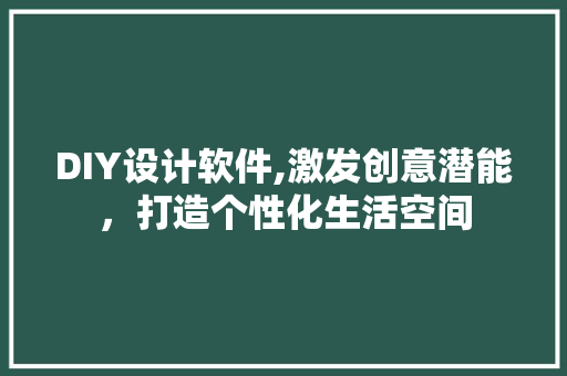 DIY设计软件,激发创意潜能，打造个性化生活空间 网站建设公司