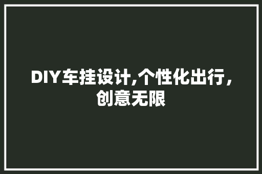 DIY车挂设计,个性化出行，创意无限 网站建设公司