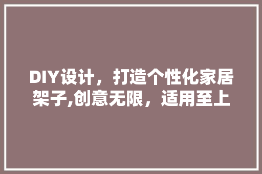 DIY设计，打造个性化家居架子,创意无限，适用至上 搜狗SEO