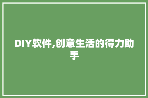 DIY软件,创意生活的得力助手 SEO关键词