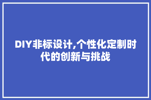 DIY非标设计,个性化定制时代的创新与挑战 网站建设公司