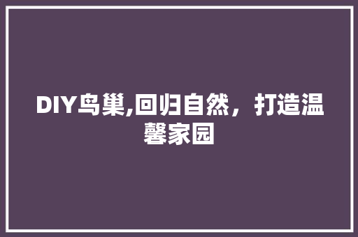 DIY鸟巢,回归自然，打造温馨家园 百度SEO