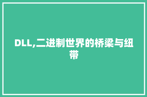DLL,二进制世界的桥梁与纽带 必应SEO