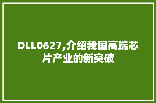 DLL0627,介绍我国高端芯片产业的新突破 网站建设公司