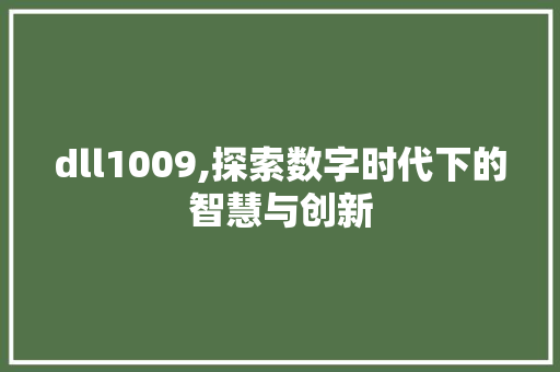 dll1009,探索数字时代下的智慧与创新 网站建设公司