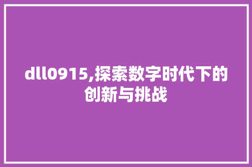 dll0915,探索数字时代下的创新与挑战 网站建设公司