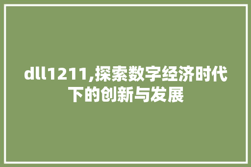 dll1211,探索数字经济时代下的创新与发展 网站建设公司
