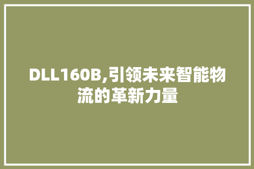 DLL160B,引领未来智能物流的革新力量 神马SEO