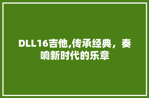DLL16吉他,传承经典，奏响新时代的乐章 神马SEO