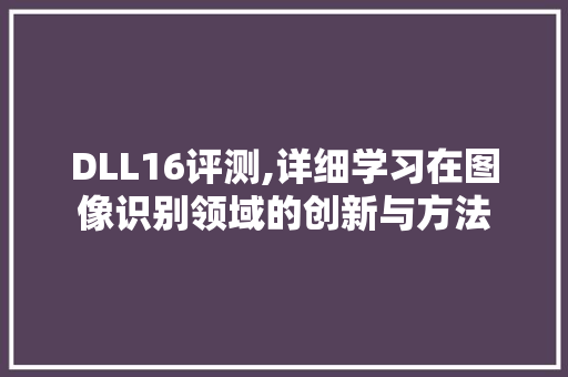 DLL16评测,详细学习在图像识别领域的创新与方法 网站建设公司