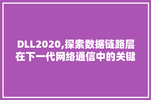 DLL2020,探索数据链路层在下一代网络通信中的关键作用 搜狗SEO