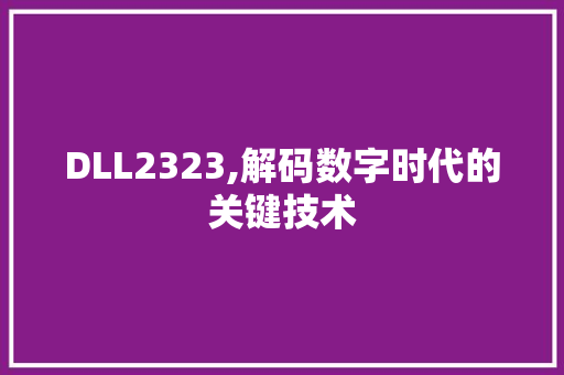 DLL2323,解码数字时代的关键技术 网站建设公司