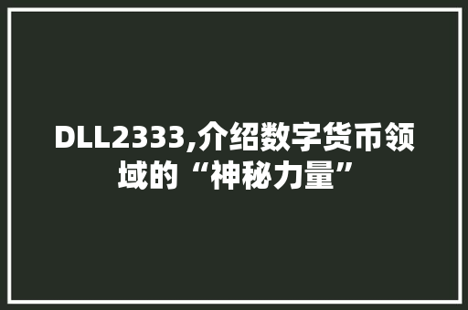 DLL2333,介绍数字货币领域的“神秘力量” 网站建设公司