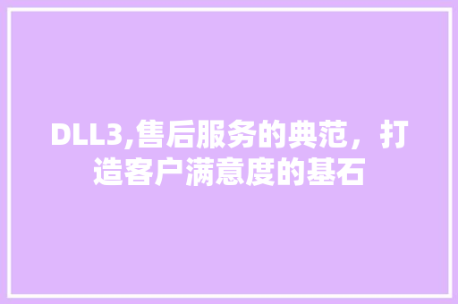 DLL3,售后服务的典范，打造客户满意度的基石 必应SEO