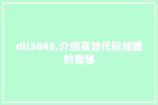 dll3848,介绍高效代码加载的奥秘 神马SEO