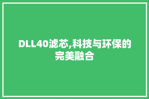DLL40滤芯,科技与环保的完美融合 SEO关键词