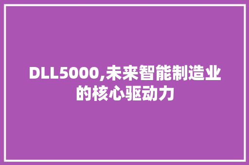 DLL5000,未来智能制造业的核心驱动力 SEO关键词