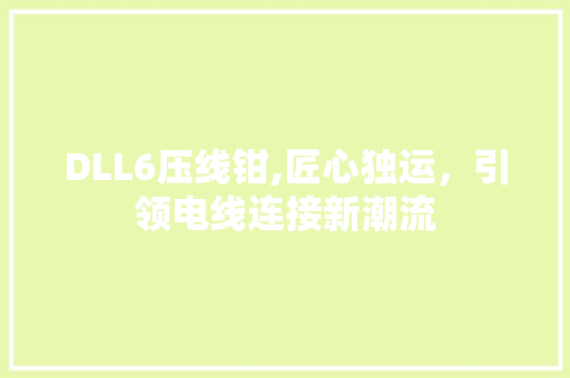 DLL6压线钳,匠心独运，引领电线连接新潮流