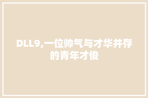 DLL9,一位帅气与才华并存的青年才俊 网站建设公司