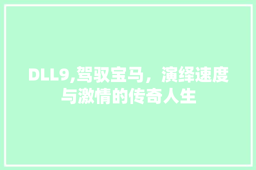 DLL9,驾驭宝马，演绎速度与激情的传奇人生