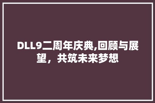 DLL9二周年庆典,回顾与展望，共筑未来梦想 百度SEO