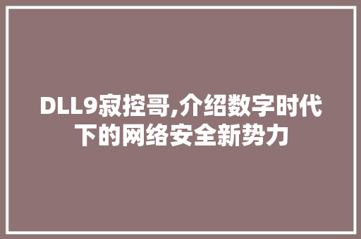 DLL9寂控哥,介绍数字时代下的网络安全新势力 搜狗SEO