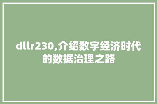 dllr230,介绍数字经济时代的数据治理之路