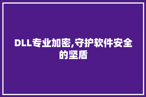 DLL专业加密,守护软件安全的坚盾
