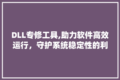 DLL专修工具,助力软件高效运行，守护系统稳定性的利器