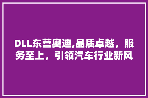 DLL东营奥迪,品质卓越，服务至上，引领汽车行业新风尚