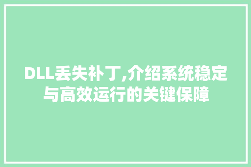 DLL丢失补丁,介绍系统稳定与高效运行的关键保障