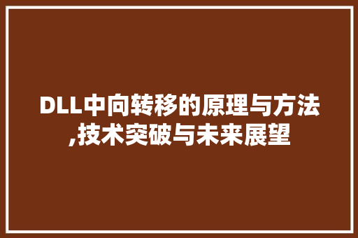 DLL中向转移的原理与方法,技术突破与未来展望