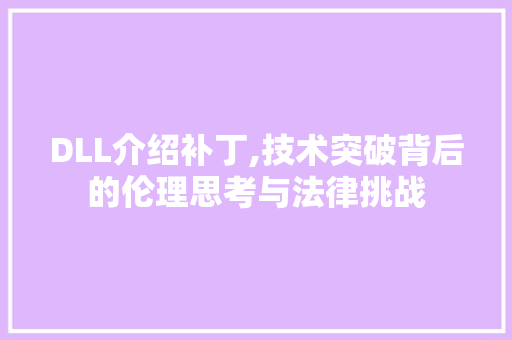 DLL介绍补丁,技术突破背后的伦理思考与法律挑战