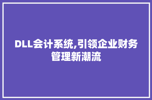 DLL会计系统,引领企业财务管理新潮流
