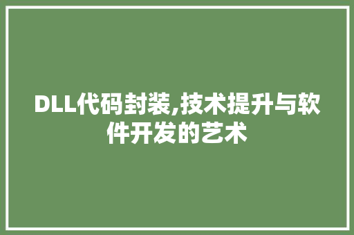 DLL代码封装,技术提升与软件开发的艺术
