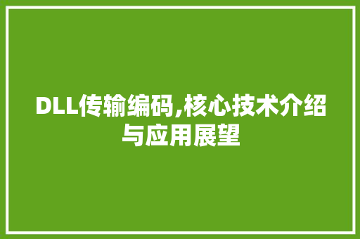 DLL传输编码,核心技术介绍与应用展望