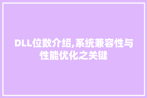 DLL位数介绍,系统兼容性与性能优化之关键 网站建设公司