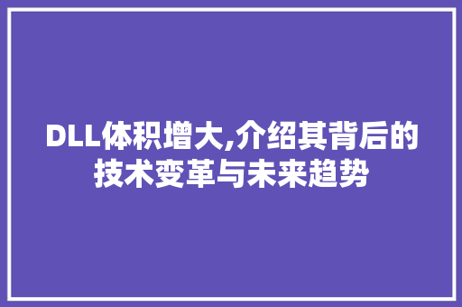 DLL体积增大,介绍其背后的技术变革与未来趋势 神马SEO