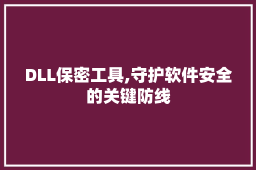 DLL保密工具,守护软件安全的关键防线