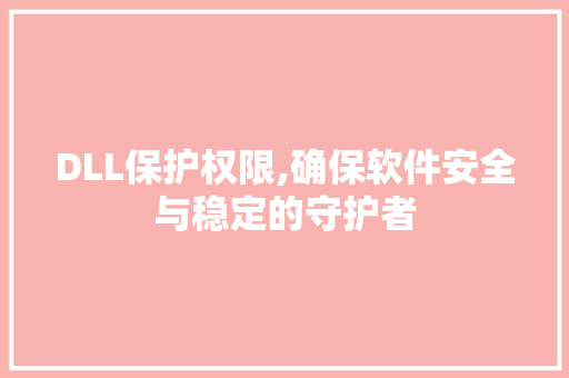 DLL保护权限,确保软件安全与稳定的守护者