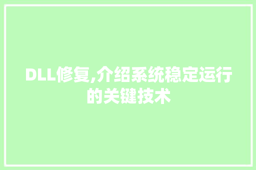 DLL修复,介绍系统稳定运行的关键技术